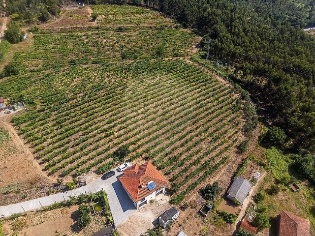 Casa venda em Canedo de Basto e Corgo, Celorico de Basto