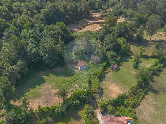 Casa venda em Cinfães, Viseu