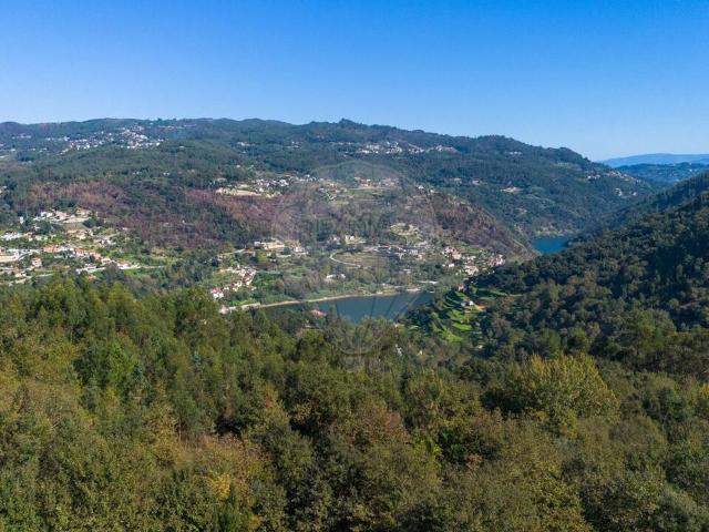 Casa venda em Espadanedo, Viseu