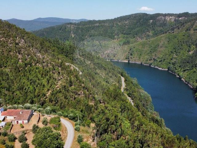 Casa venda em Ana de Aviz, Figueiró Dos Vinhos
