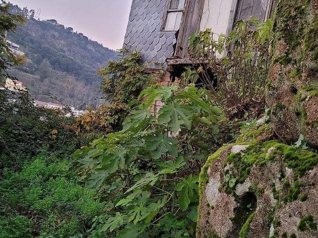 Casa venda em Sogueire, São Cristóvão de Nogueira