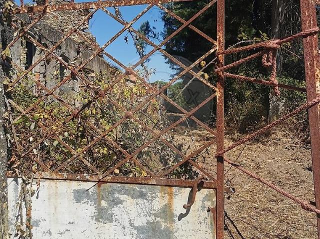 Casa venda em São Martinho de Árvore e Lamarosa, Coimbra