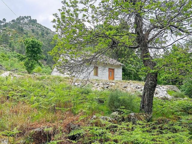 Casa venda em Manteigas (São Pedro), Manteigas