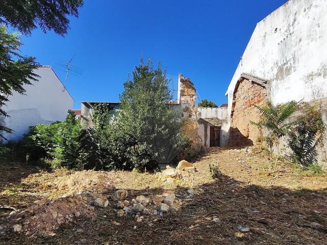 Casa venda em São Pedro, Lapas e Ribeira Branca, Torres Novas