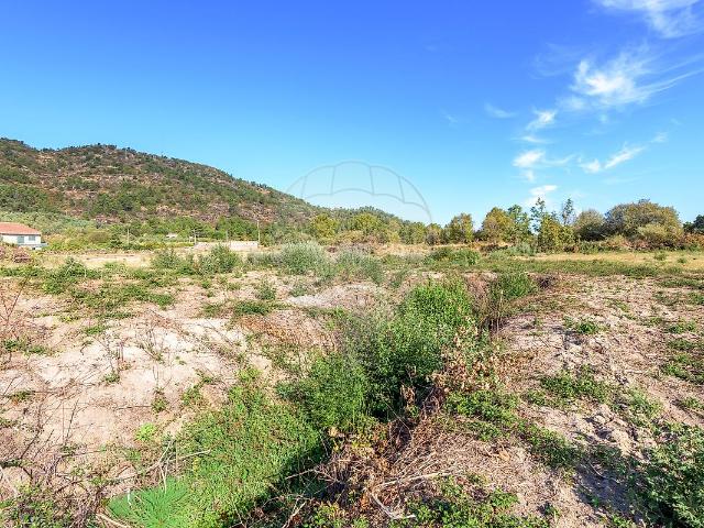 Casa venda em Castelo Branco