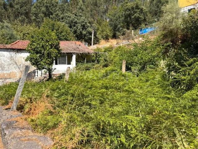 Casa venda em Magrelos, São Lourenço Do Douro