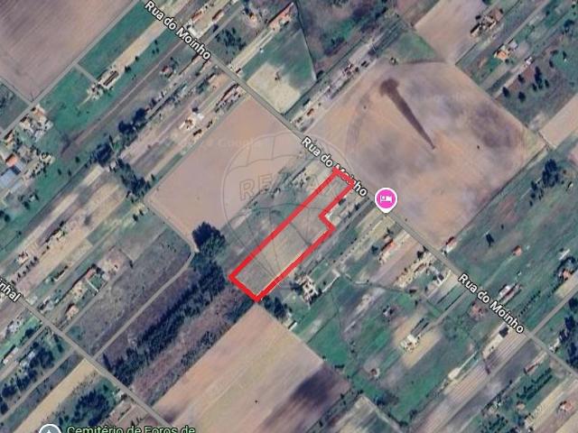 Casa venda em Foros de Benfica, Almeirim