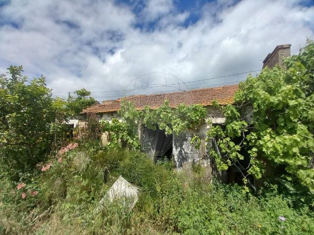 Casa venda em Carapetos, Montemor-o-velho