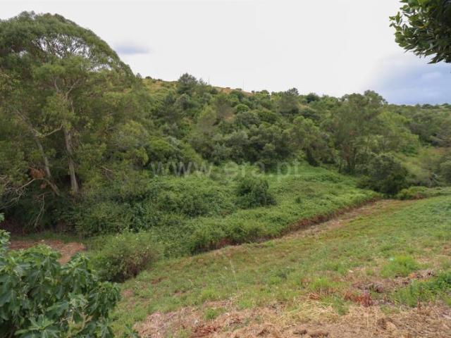 Moradia venda em Alenquer