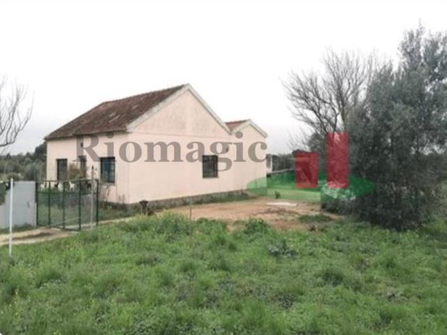 Casa venda em Cartaxo e Vale da Pinta, Cartaxo