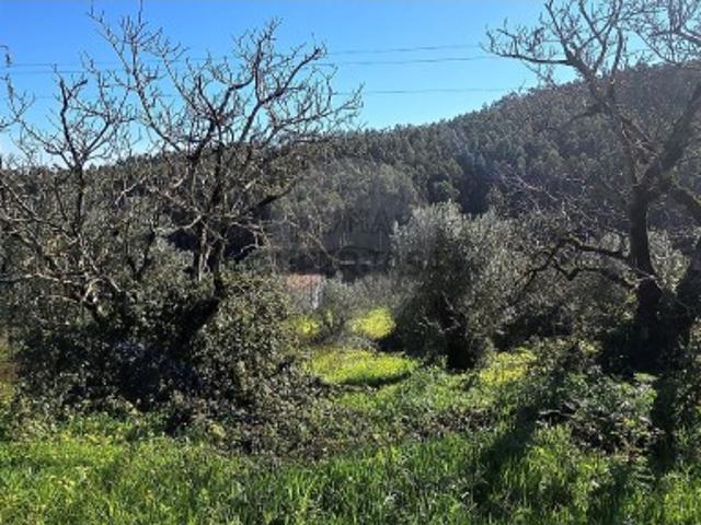 Casa venda em Valteira, Rio Maior