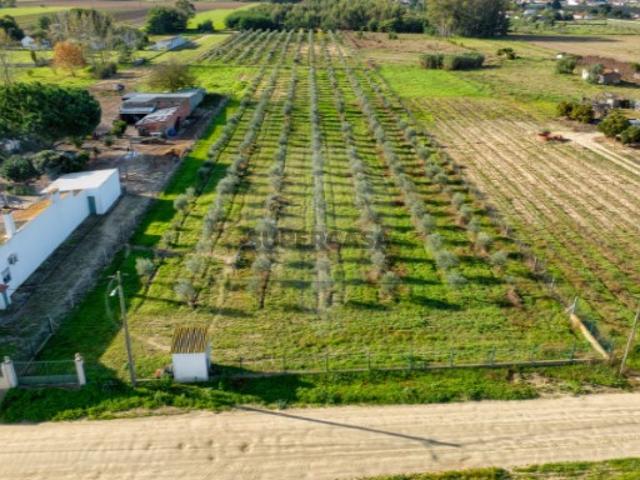Casa venda em Almeirim, Foros de Benfica