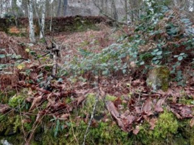 Casa venda em Nespereira, Viseu