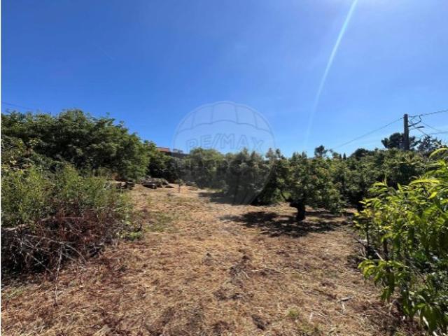 Casa venda em Olho Marinho, Óbidos