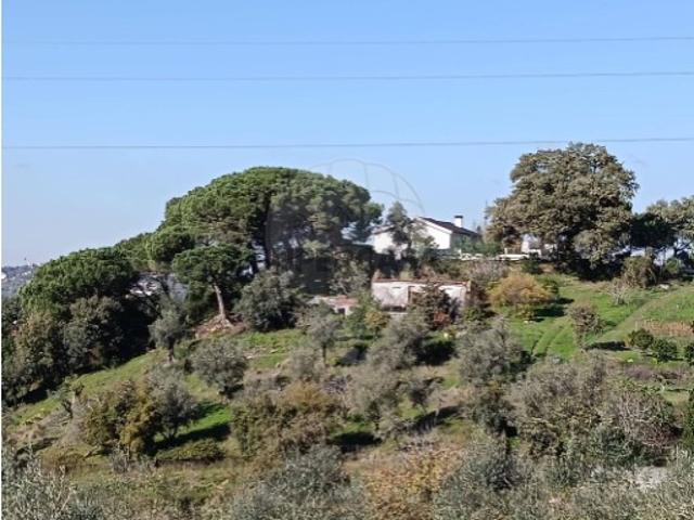 Casa venda em Coimbrã, Antanhol