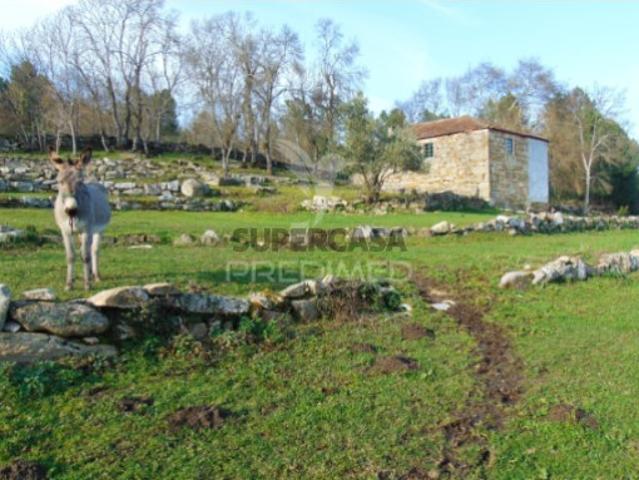 Casa venda em Vila Real