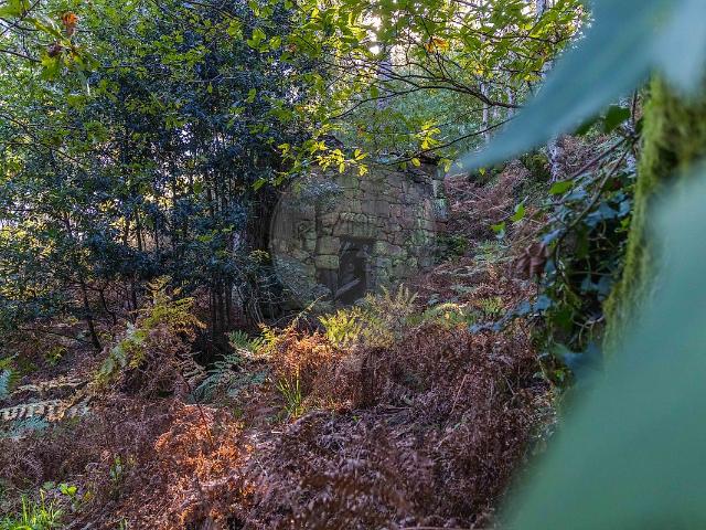Casa venda em Espadanedo, Viseu
