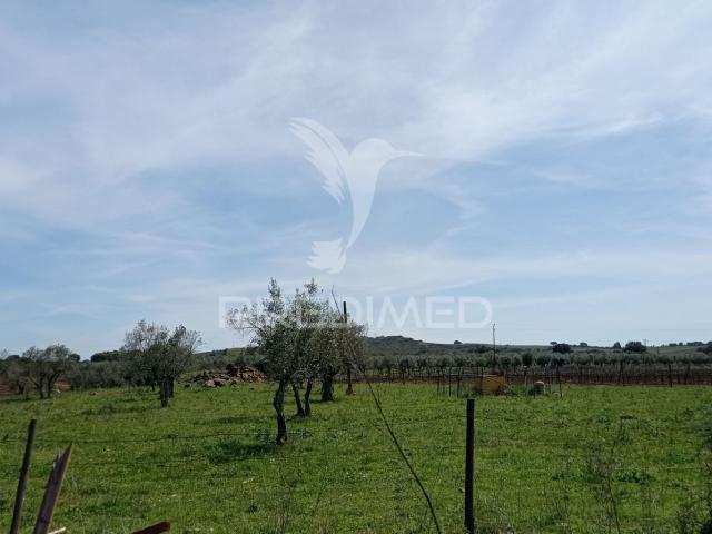 Casa venda em Estremoz, Évora