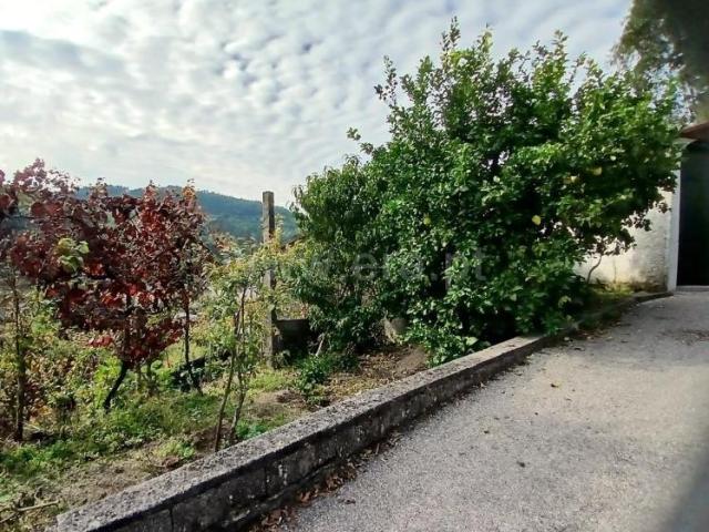 Moradia venda em Castelo De Paiva, Cepa