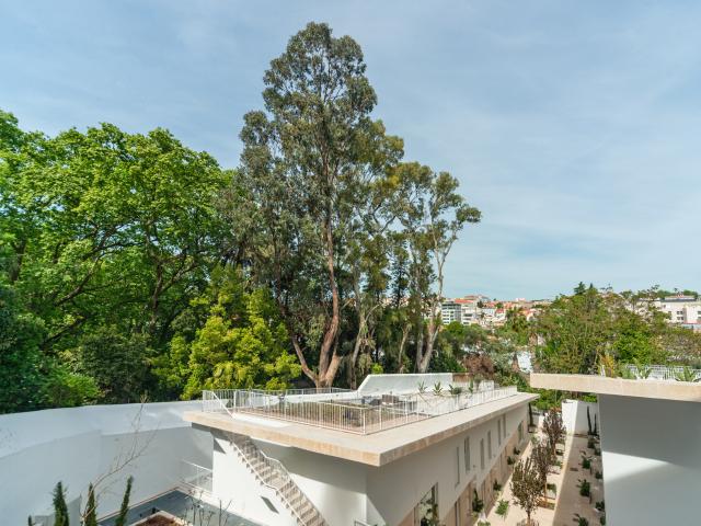 Casa alugar em Santo António, Lisboa