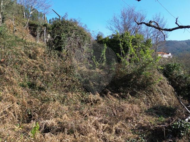 Casa venda em Pertença, Nespereira