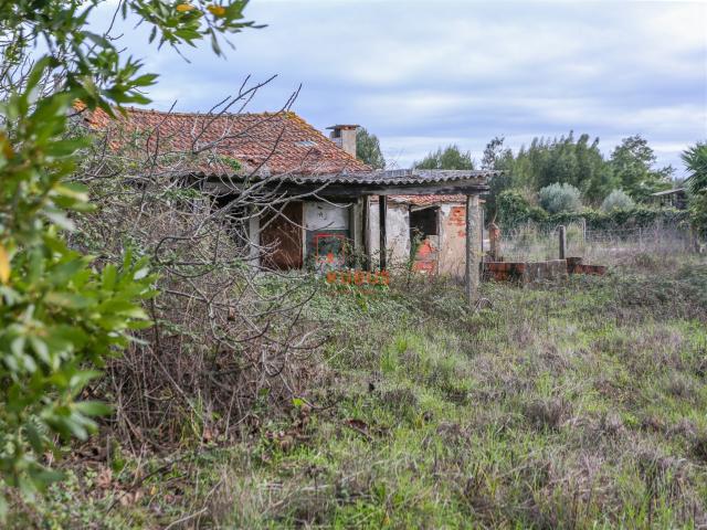Casa venda em Entroncamento, Nossa Senhora De Fátima