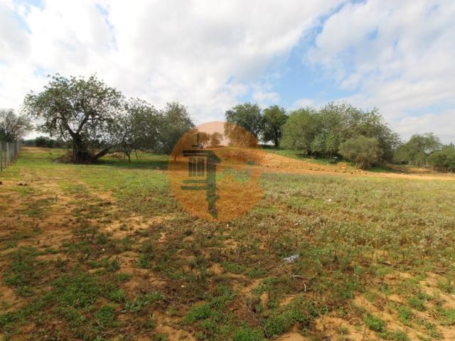 Casa venda em Olhão, Faro