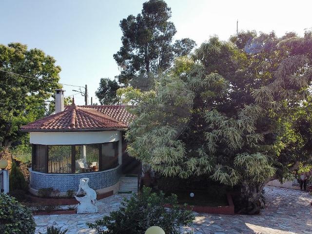 Casa venda em Castelo Branco, Cumeada