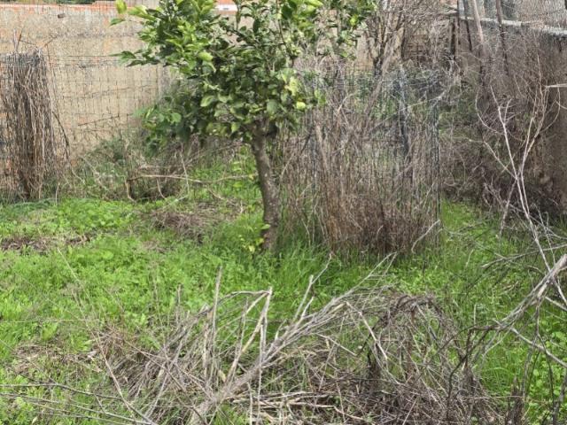 Casa venda em Santiago Do Cacém, Setúbal