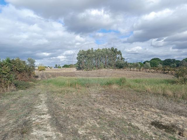 Casa venda em Benavente, Santarém