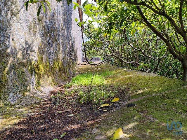 Casa venda em Açores, São Roque Do Pico