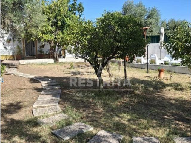 Casa venda em Constância, Santarém