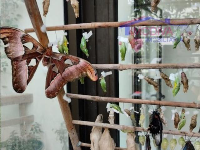 Casa venda em Constância, Santarém