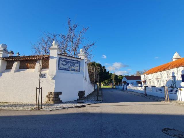 Casa venda em Entroncamento, Nossa Senhora De Fátima