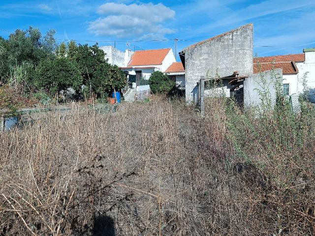 Casa venda em Alto da Coelha, Chamusca