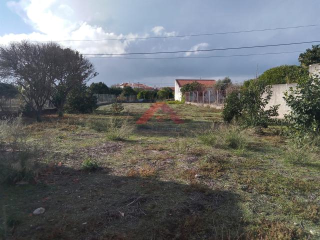 Casa venda em Cartaxo, Santarém