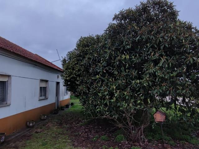 Casa venda em Bairro Almansor, Montijo
