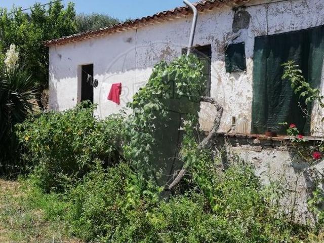 Casa venda em Abrantes, Santarém