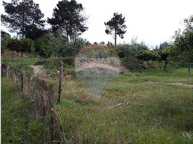 Casa venda em Chamusca, Santarém