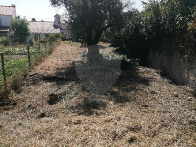 Casa venda em Nisa, Portalegre