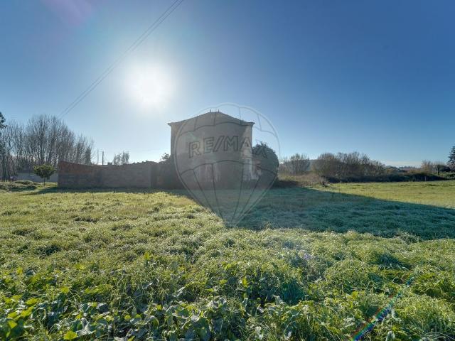 Casa venda em Oliveira Do Bairro, Aveiro