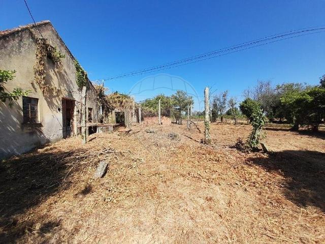 Casa venda em Oliveira do Conde, Carregal do Sal
