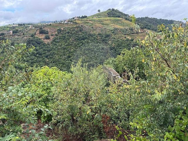 Casa venda em Santa Bárbara, Mesão Frio