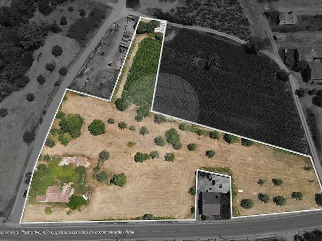 Casa venda em São Pedro de Tomar, Tomar