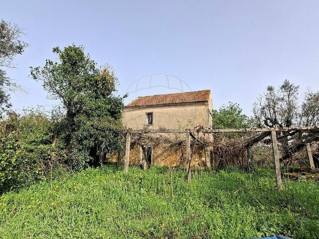 Casa venda em Santiago da Guarda, Ansião