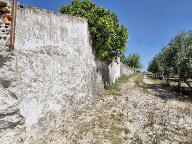 Casa venda em Santarém