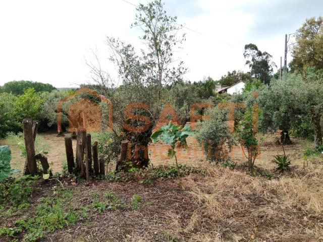 Casa venda em Avelar, Ansião