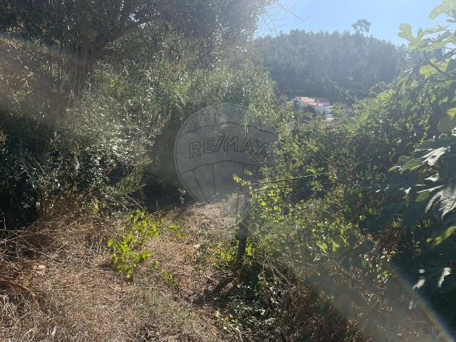 Casa venda em Vale de Horta, Abrantes