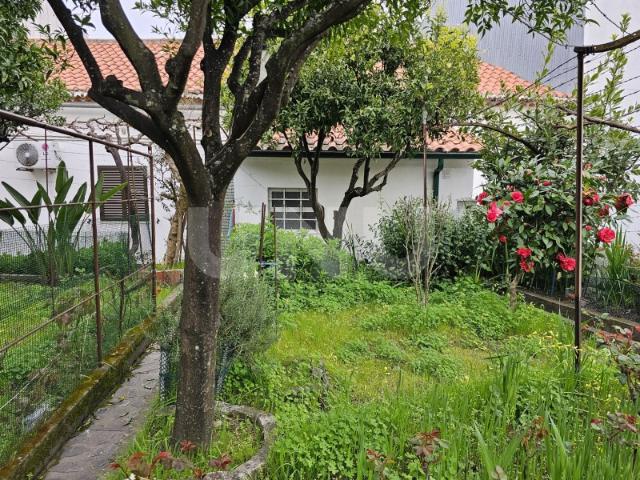 Casa venda em Castelo Branco