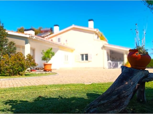 Quinta venda em Castelo Branco, Peraboa